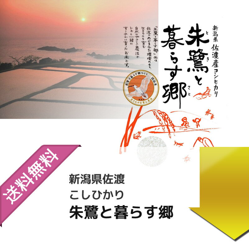 お米 5kg 朱鷺と暮らす郷　特別栽培米　新潟佐渡産こしひかり 令和3年産 玄米5kg 選べる精米