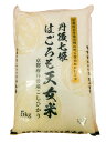 京都丹後産コシヒカリ　はごろも天女米　令和元年産 5kg×1袋