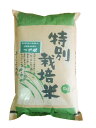 令和元年産 新米 10kg 送料無料 （一部地域を除く）特A 特別栽培米 島根県 石見銀山 つや姫 白米 5kg×2袋