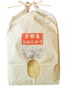 令和元年産 新米 送料無料 （一部地域を除く) 京都産 キヌヒカリ 玄米5kg×2袋 選べる精米