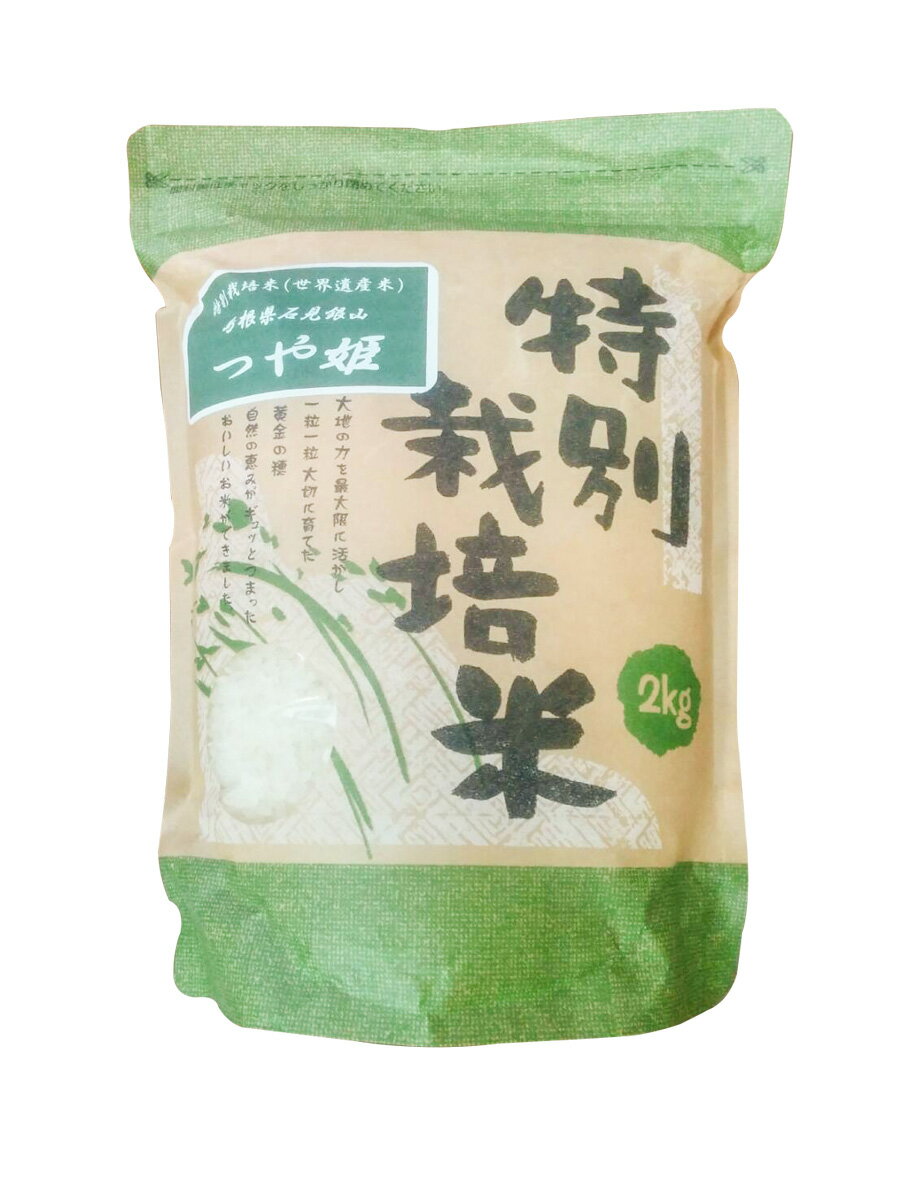 お米 6kg 特A 特別栽培米 島根県 石見銀山 つや姫 令和元年産 6k（2kg×3袋）