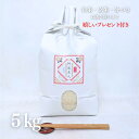 お米 新米 令和7年産 徳島県産 コシヒカリ 阿波美人 玄米 5kg 選べる精米 白米 分付き 嬉しいプレゼント付き 送料無料