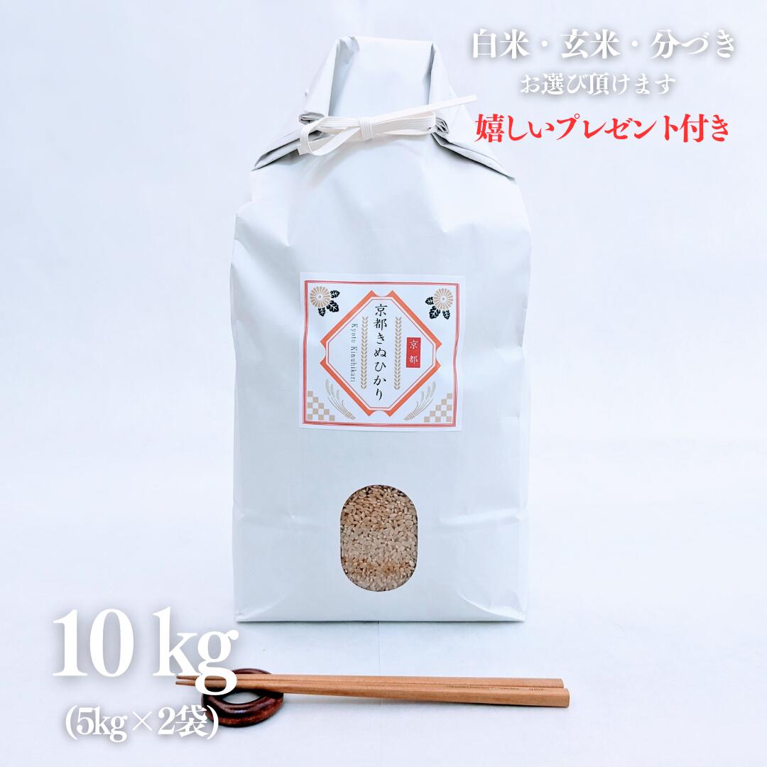 お米 10kg 京都 きぬひかり キヌヒカリ 玄米 5kg×2袋 令和5年産 献上米 精米無料 白米 5分付き 7分づき 熨斗無料 グルメ ギフト 紙袋 嬉しいプレゼント付き 送料無料