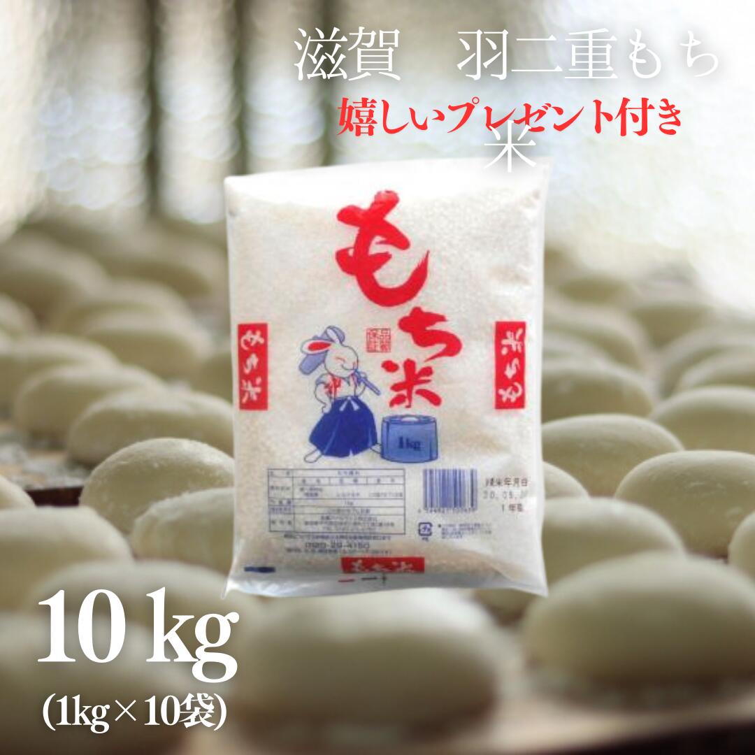 お米 羽二重 もち米 10kg (1kg×10袋) 滋賀県産 令和5年産 餅つき 餅 お餅 おはぎ 赤飯 おこわ 嬉しいプレゼント付き 送料無料