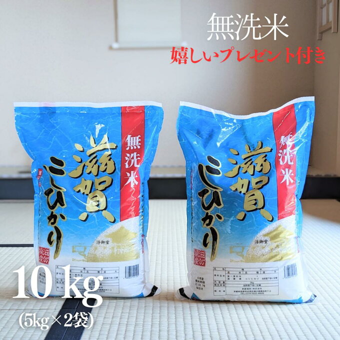 新米 令和5年産 お米 10kg 無洗米 滋賀県産 コシヒカリ 白米 5kg×2袋 近江米 簡単 時短 お弁当 おにぎり 京都 熨斗無料 嬉しいプレゼント付き 送料無料