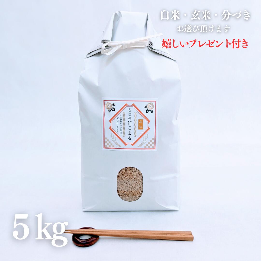 お米 5kg 高知県産 天空の郷 にこまる 玄米 5kg×1袋 金賞 令和5年産 精米無料 白米 5分付き 7分付き 紙袋 京都 熨斗無料 グルメ 高級 ギフト 嬉しいプレゼント付き 送料無料