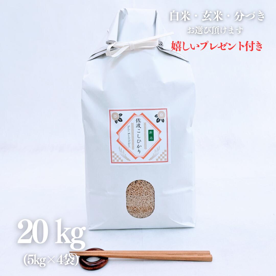 お米 20kg 新潟県産 佐渡コシヒカリ 玄米 5kg×4袋 減農薬 令和7年産 精米無料 白米 5分付き 7分付き 紙袋 京都 グルメ ギフト 熨斗無料 嬉しいプレゼント付き 送料無料