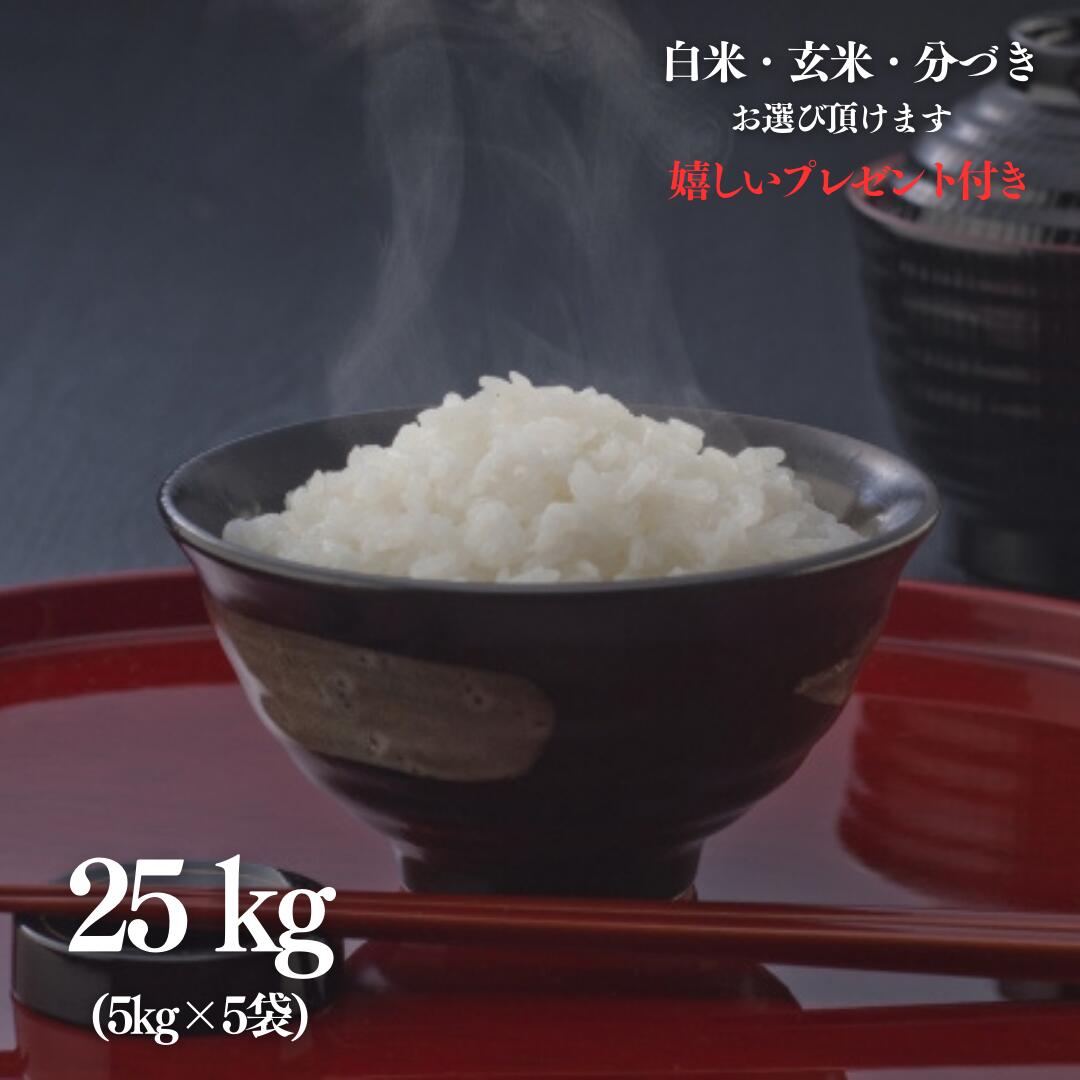 お米 25kg 奥出雲 飯南コシヒカリ 玄米 5kg×5袋 京料理人ご用達 令和5年産 精米無料 白米 5分付き 7分付き 大容量 京都 グルメ ギフト 熨斗無料 嬉しいプレゼント付き 送料無料