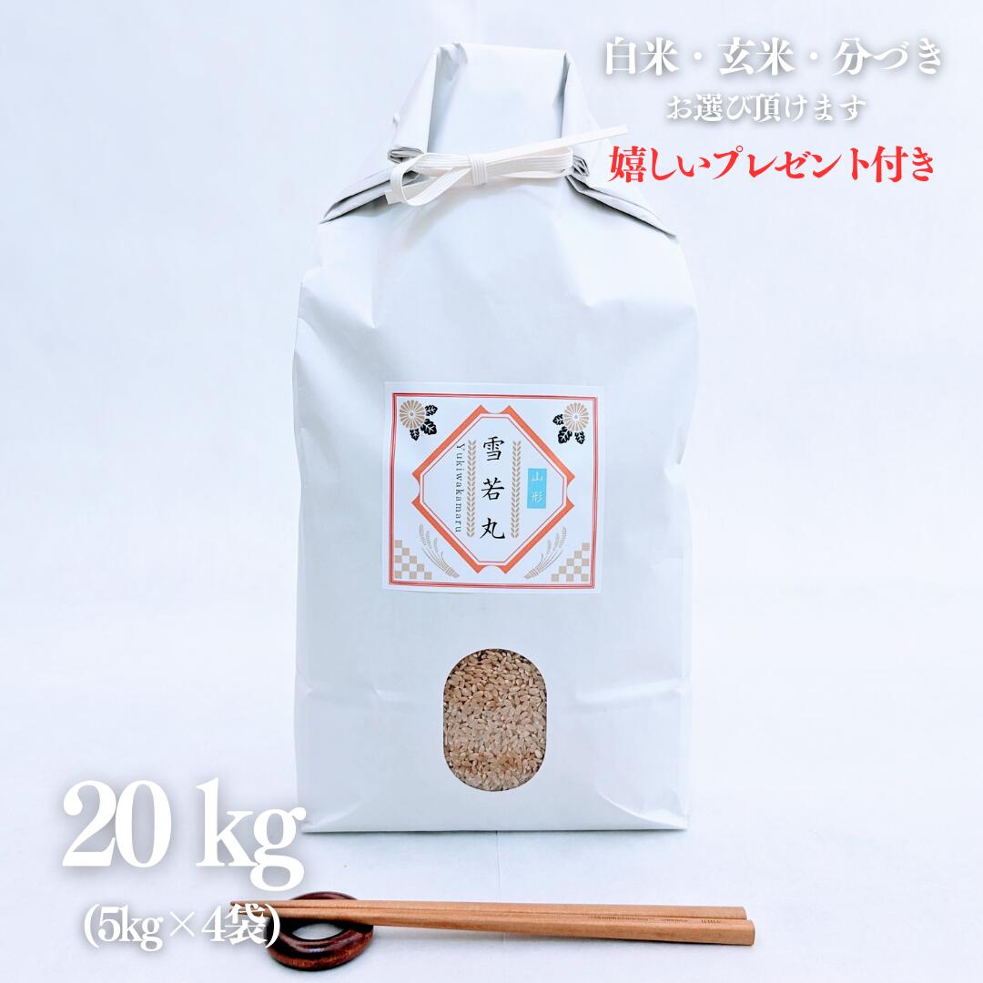 お米 20kg 佐賀県産 夢しずく 玄米 5kg×4袋 令和5年産 精米無料 白米 5分付き 7分付き 紙袋 京都 熨斗無料 グルメ ギフト 嬉しいプレゼント付き 送料無料