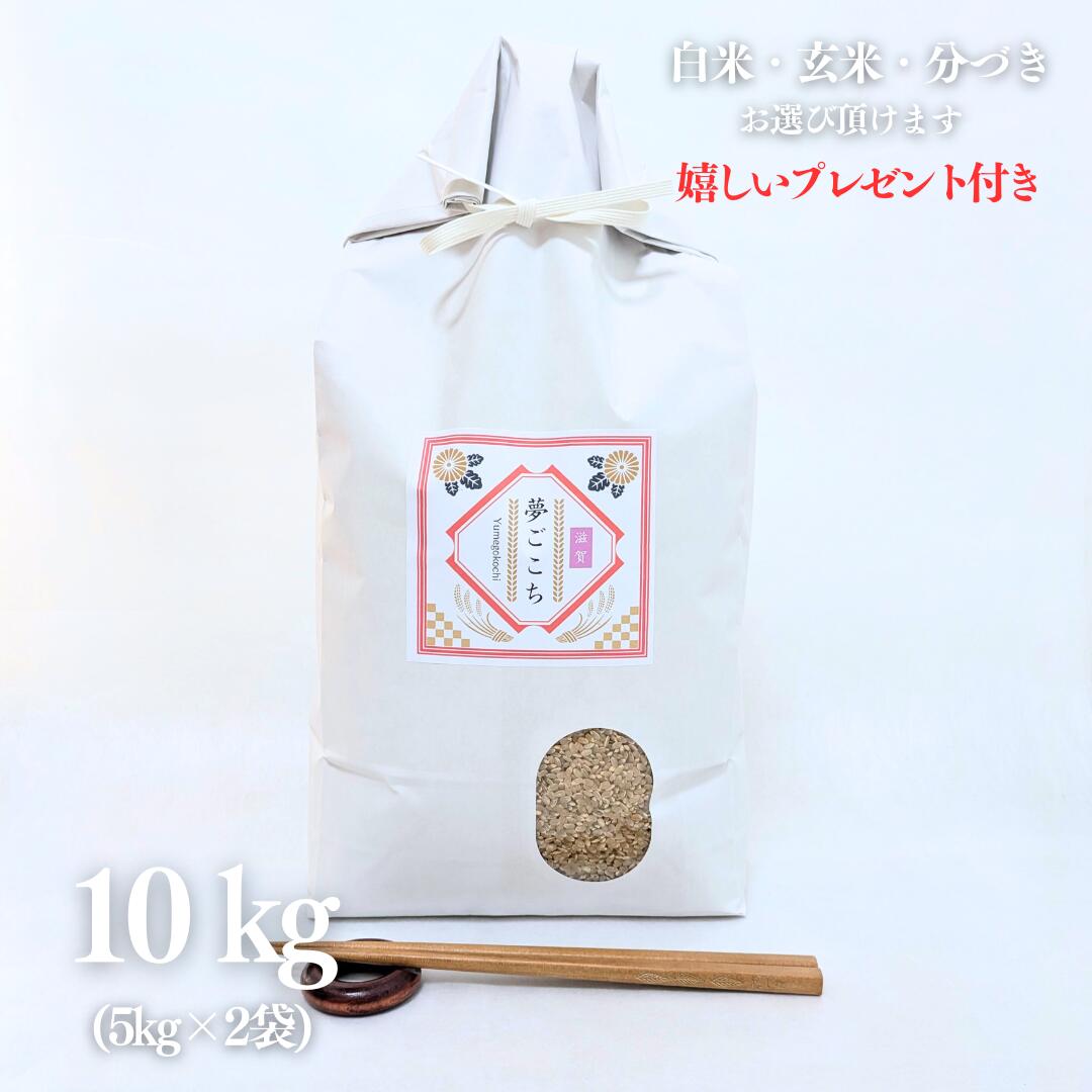 新米 お米 10kg 滋賀県 夢ごこち 令和6年産 玄米 5kg×2袋 精米無料 白米 5分付き 7分づき 熨斗無料 京都 グルメ ギフト 米袋 嬉しいプレゼント付き 送料無料
