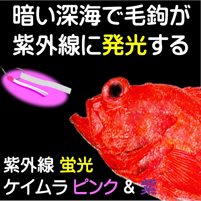 楽天市場 アコウダイ 仕掛け 用 ムツ針24号 ケイムラ パープル ４色コンビフラッシャー 各5本計本組 アコウダイ釣り アコウダイ仕掛け アコウダイ 釣り 山下漁具店 メヌケ釣り メヌケ 仕掛け アコウダイ 赤魚 アコウダイ エサ アコウダイ 餌 アコウダイ 釣り方 メヌケ