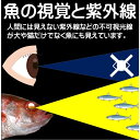 冷凍 オキアミ 冷凍 イワシ 海上釣堀 エサ に最適 つけエサ用 ケイムラ加工液 蛍光パープル 80ml3本組 イワシ 餌 アミエビ キビナゴ 餌 釣り餌 エビ 釣りエサ 集魚剤 釣り餌 冷凍 サンマ カツオのハラモ 紫外線加工液 釣堀エサ カワハギ 餌 アサリ 配合エサ 釣り侍のデコ餌