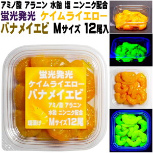 秋鮭 仕掛け 秋鮭 餌 刺し餌 アミノ酸甘味成分アラニン・激臭ニンニク・水飴配合 紫外線 蛍光発光 ケイムライエロー 塩締め バナメイエビ Mサイズ 12尾入り 常温便お届け チヌ 餌 カワハギ 餌 アキアジ 餌 チヌ 仕掛け クロダイ 餌 鮭 餌 サケ 餌 アキアジ 仕掛け