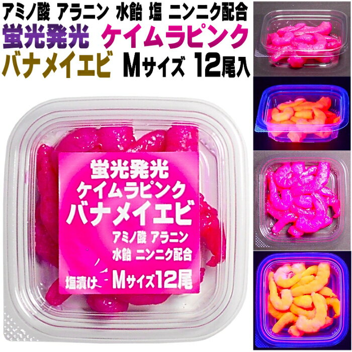 秋鮭 仕掛け 秋鮭 餌 刺し餌 アミノ酸甘味成分アラニン・激臭ニンニク・水飴配合 紫外線 蛍光発光 ケイ..