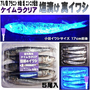 テンヤタチウオ 餌 テンヤ太刀魚 仕掛け 激臭にんにく アミノ酸配合 紫外線蛍光発光 ケイムラクリア 塩締め マイワシ 17cm前後 5尾入 テンヤタチウオ 仕掛けタチウオ 餌 タチウオ エサ 太刀魚 餌 太刀魚 エサ テンヤタチウオ 餌 テンヤタチウオ エサ 冷凍 マイワシ