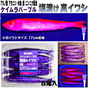 テンヤタチウオ 餌 テンヤ太刀魚 仕掛け 激臭にんにく アミノ酸配合 紫外線蛍光発光 ケイムラパープル 塩締め マイワシ 17cm前後 5尾入 テンヤタチウオ 仕掛けタチウオ 餌 タチウオ エサ 太刀魚 餌 太刀魚 エサ テンヤタチウオ 餌 テンヤタチウオ エサ タチウオテンヤ