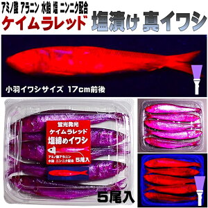 テンヤタチウオ 餌 テンヤ太刀魚 仕掛け 激臭にんにく アミノ酸配合 紫外線蛍光発光 ケイムラレッド 塩締め マイワシ 17cm前後 5尾入 テンヤタチウオ 仕掛けタチウオ 餌 タチウオ エサ 太刀魚 餌 太刀魚 エサ テンヤタチウオ 餌 テンヤタチウオ エサ タチウオテンヤ