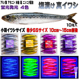 テンヤタチウオ 餌 テンヤ太刀魚 仕掛け 激臭にんにく アミノ酸配合 紫外線蛍光発光 ケイムラ4色 塩締め マイワシ 10cm~15cm前後 SSサイズ 10尾入 テンヤタチウオ 仕掛けタチウオ 餌 タチウオ エサ 太刀魚 餌 太刀魚 エサ テンヤタチウオ 餌 テンヤタチウオ エサ