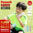 【365日出荷&当店限定特典付】ミニアイスパック ネッククーラー 氷のう 氷嚢 熱中症対策 暑さ対策 猛暑対策 グッズ 長時間 保冷剤 通勤 通学 首 保冷 冷...