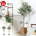 【当店限定特典付】人工観葉植物 フェイクグリーン 床置き フロア 高150cm 造花 インテリア グリーン 大型 ユーカリ オリーブ アーティフィシャル 飾り ...