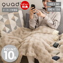 【当店限定特典付】電気毛布 掛け敷き 140×80 190×130 洗える 電気ひざ掛け 電気ブランケット 敷毛布 膝掛け ダニ退治 洗濯 省エネ ベッド ソファ リビング エコ 省エネ あったかグッズ クワッズ toron トロン QS433 QUADS