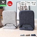 【1年保証&当店限定特典付】座椅子 折り畳み フロアチェア 2台セット コンパクト 北欧 シンプル おしゃれ チェア 一人掛け polako ポラコ ローソファ...
