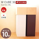 【365日出荷&当店限定特典付】ゴミ箱 ダストボックス 日本製 45L袋可 スリム キッチン 北欧 木製 分別 ナチュラル リビング 洗面所 角型 縦型 木目 大容量 30L W CUBE 30 ヤマト工芸(3)