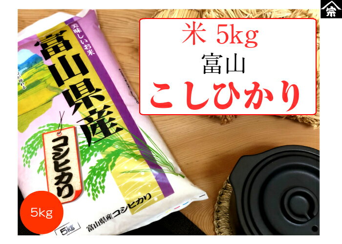 お米 5kg 送料無料 産地直送 富山県産 コシヒカリ 米 令和元年産 美味しい うまい おいしいお米 ごはん 白米 おにぎり お弁当 食育 贈答 お中元 お歳暮 プレゼント ギフト 食べ盛り 子育て おすすめ 離乳食 栄養 精米 人気 話題 料理 一人暮らし お家ご飯 家族