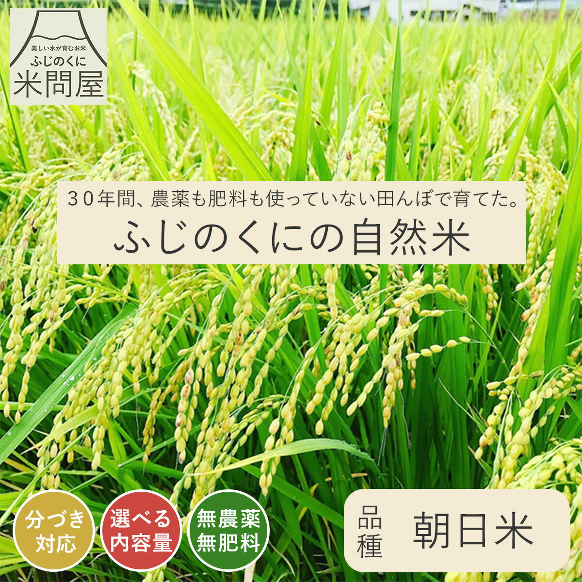 30年間無農薬 無肥料 又平の自然米 新米 令和5年産 あさひ 3kg 5kg 10kg 米 無農薬 無肥料 自然栽培 自然農法 特別栽培 朝日 旭 お米 白米 精米 分づき 3キロ 5キロ 10キロ 5kg×2 無農薬米 送料無料