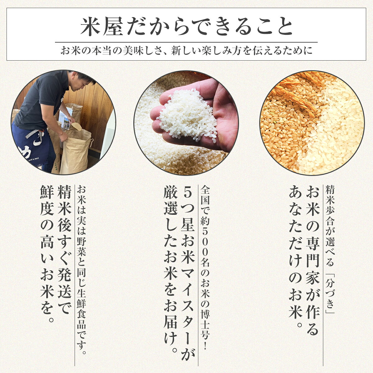 サンプル画像3