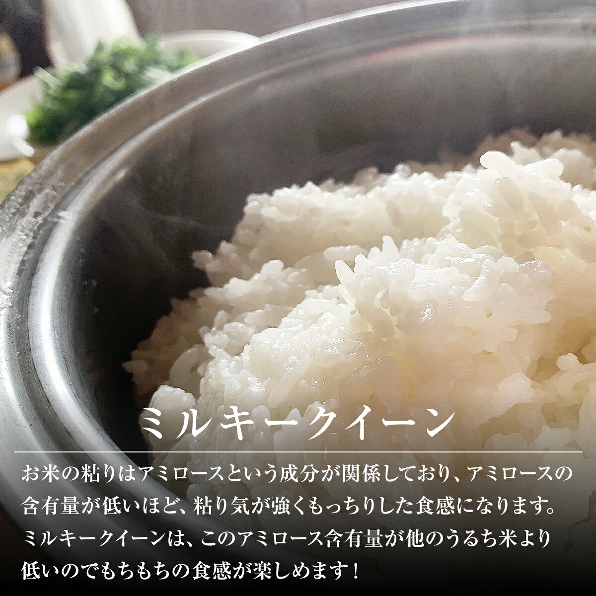 サンプル画像2