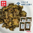 デリカシリーズ 赤しば漬 (80g×60個) やまう 6×10 送料無料