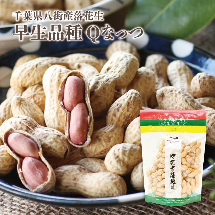 早生落花生 から付き煎り落花生大好評企画!期間限定。千葉のお土産や特産品といえば、やます千葉県産 国産 旨い ピーナッツ Qなっつ qなっつ 落花生 八街産 煎り おつまみ 送料無料 父の日 あす楽 お歳暮 お年賀 お中元 母の日 ギフト 贈物