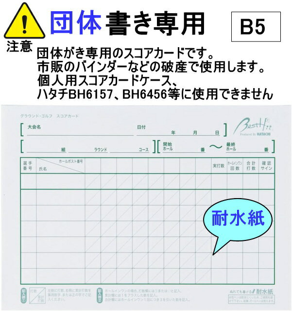グラウンドゴルフ用品 HATACHI ハタチ ...の紹介画像2