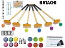 ハタチ グラウンドゴルフチームセット(左右共通) BH1120 グラウンドゴルフ用品