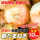 【大セール新たまねぎ！1kg=178円の新玉葱】和歌山県産 訳あり 新たまねぎ 新玉葱 大玉(1玉300g以上) 10kg リサイクル箱(古箱)に入れ発送 送料無料 淡路島産 九州産 北海道産 新玉ねぎには負けない品質！