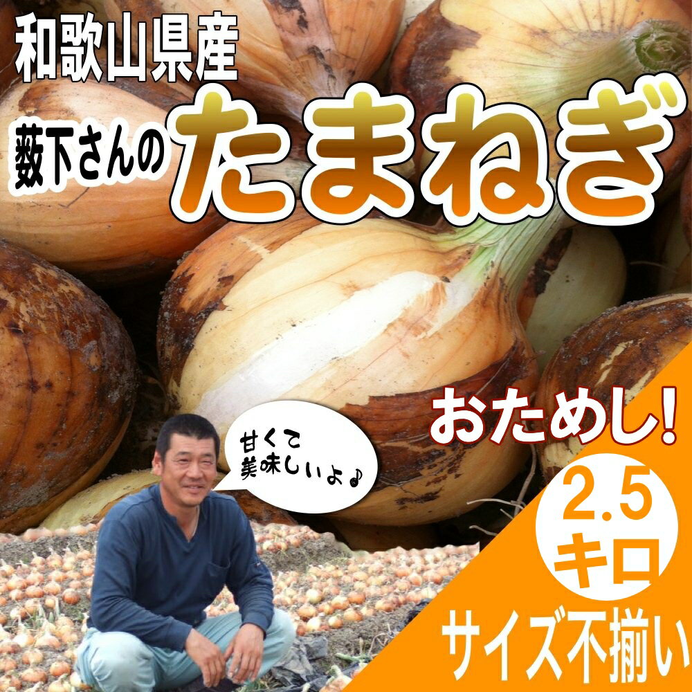 【お試し】和歌山県産 薮下さんの特別栽培 新たまねぎ 新玉葱 訳あり 2.5kg 【送料無料 （北海道、沖縄県除く）】 淡路島産 九州産 北海道産にも負けない品質 生産者限定 減農薬 特栽たまねぎ サイズ不揃い ※4月中下旬より順次発送開始予定