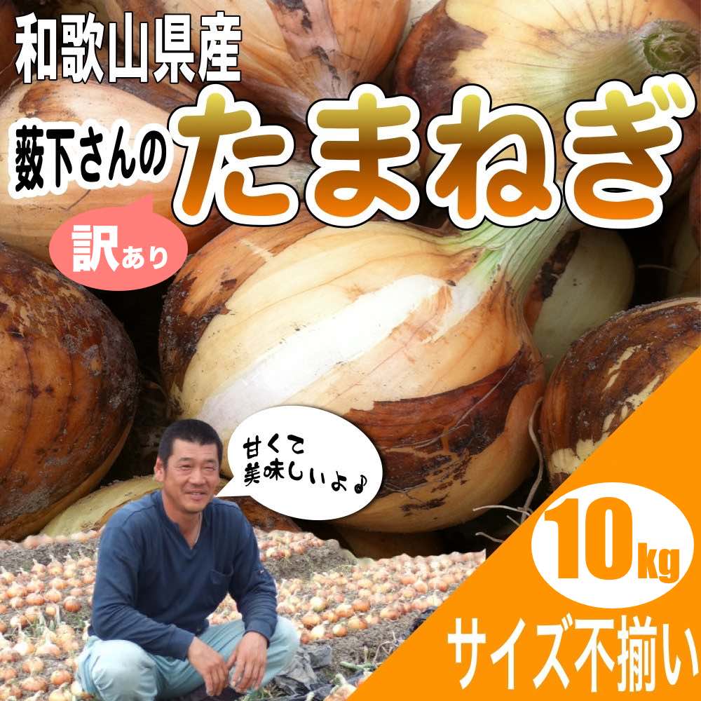 【商品仕様】 ●和歌山県産 特別栽培 たまねぎ 10kg ●サイズ不揃い(2L&#12316;Sサイズ) ●この玉葱は和歌山有機認証協会の認証を得た特別栽培玉葱です。 【商品説明】 この玉葱は和歌山有機認証協会の認証を得た特別栽培玉葱です。そして、もうひとつのこだわりは、完全有機肥料を使用することで玉葱の糖度をあげています。一人の農家さん限定で出荷させて頂きますので、安心安全な玉葱を提供させて頂きます。