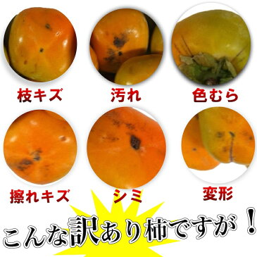 冷凍柿 冷凍たねなし柿 訳あり 3kg(1.5kg×2袋) 和歌山県産 たねなし柿使用 柿シャーベット 送料無料