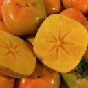 種無し柿 和歌山県産 訳あり たねなし柿 10kg 【まとめ買い】【送料無料(北海道、沖縄県除く)】ご自宅用の平核無柿 平種柿 ひらたねかき サイズ不揃い 傷あり 脱渋処理済み ※9月中旬頃より入荷あり次第順次発送予定