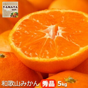 和歌山県産 みかん ミカン 秀品 5kg 【送料無料(北海道、沖縄県除く)】ギフト ご自宅用 お好みのサイズが選べる蜜柑 【訳なし】10月中旬頃より発送開始