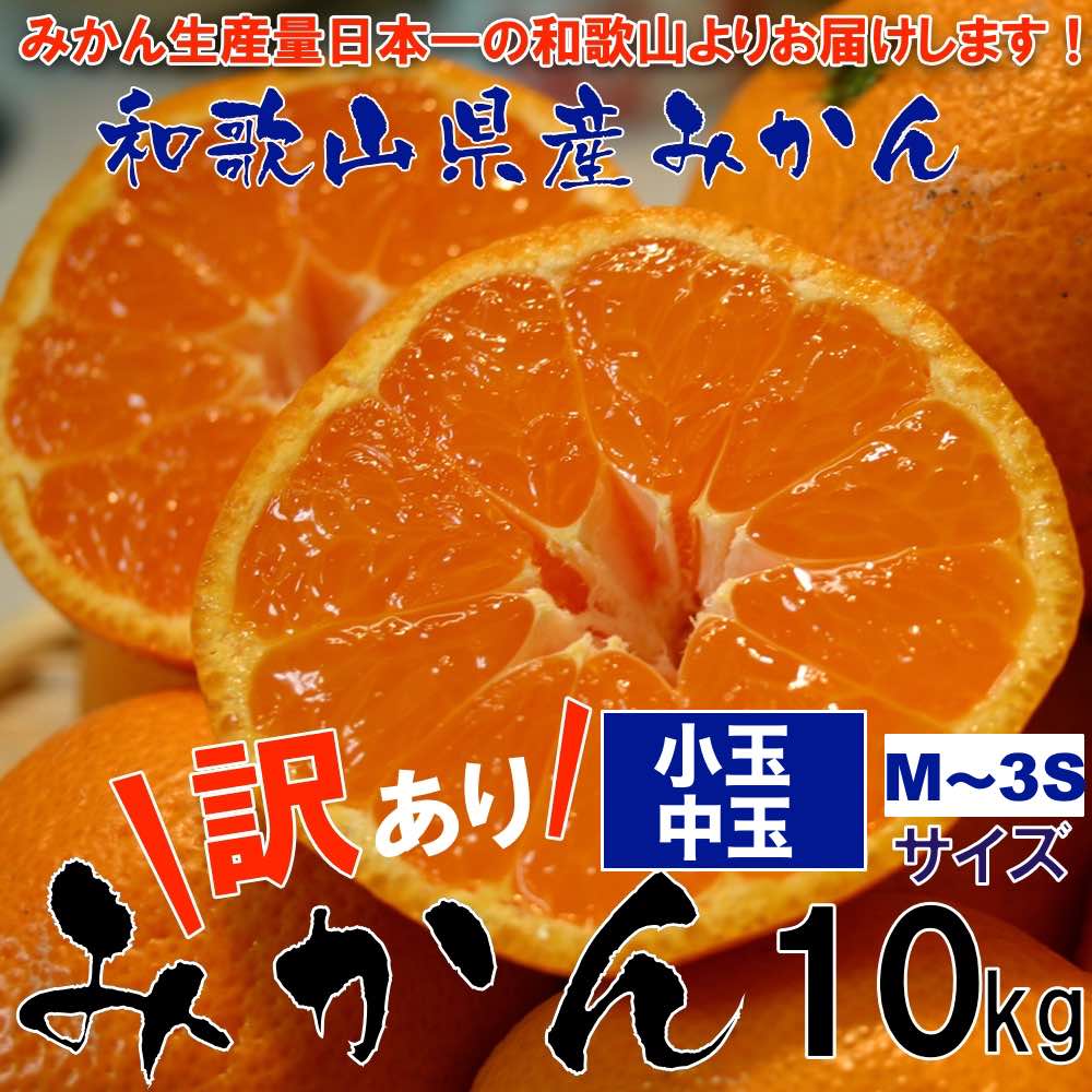 和歌山県産 訳ありみかん 小玉中玉（Mサイズ〜3Sサイズ） 10kg【送料無料】  ご自宅用 お買い得 和歌山 蜜柑 温州みかん 有田みかんで有名な和歌山より産地直送！熊本県や愛媛県にも負けない味！！