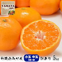 和歌山県産 訳ありみかん 小玉 中玉(Mサイズ〜3Sサイズ) 5kg【送料無料(北海道、沖縄県除く)】 ご自宅用 お買い得 和歌山 蜜柑 温州みかん 有田みかんで有名な和歌山より産地直送!熊本県や愛媛県にも負けない味!!1月7日以降より発送開始
