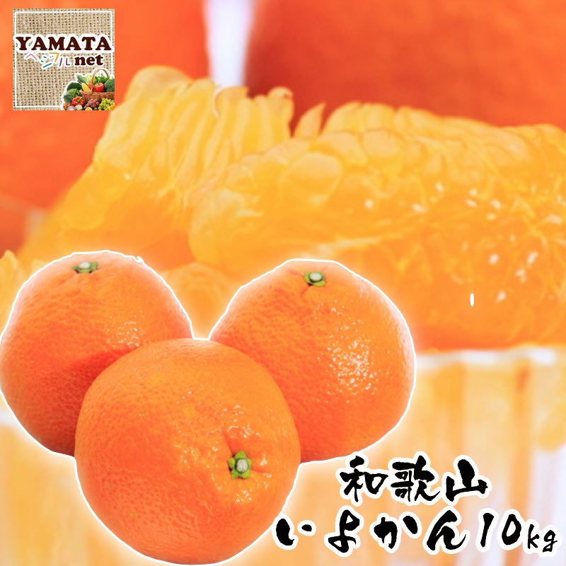 いよかん 訳あり 伊予柑 和歌山県産 10kg ご自宅用 【送料無料 】有田みかんで有名な和歌山県より産地直送のサムネイル