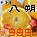 お試し 和歌山県産 訳あり 八朔 はっさく 2.5kg ご自...