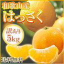 和歌山県産 訳あり 八朔 はっさく 5kg ご自宅用 送料無...