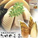 たけのこ 朝掘りタケノコ 和歌山県産 訳あり 筍 ご自宅用 2kg (ぬか付き) 2020年度産新 竹の子【お届け指定日不可】【送料無料】 産地直送