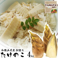 https://thumbnail.image.rakuten.co.jp/@0_mall/yamatabejifuru/cabinet/shouhin/04986432/takenokonew4kg.jpg