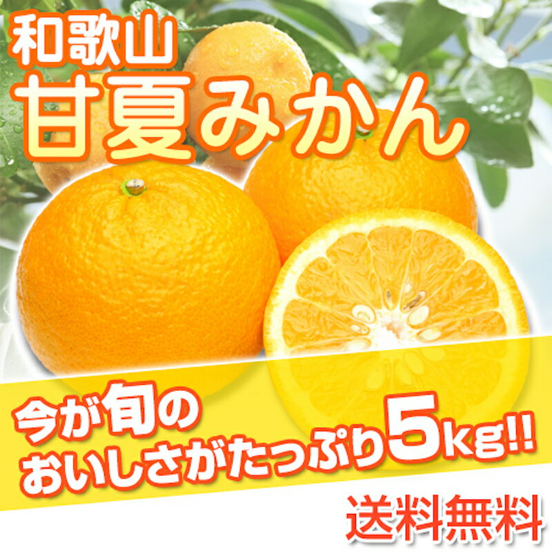 和歌山県産 訳あり 甘夏みかん あまなつ ご自宅用 5kg(傷あり サイズ不揃い シミ 汚れあり) 送料無料(北海道 沖縄除く)