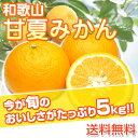 和歌山県産 訳あり 甘夏みかん あまなつ ご自宅用 5kg(